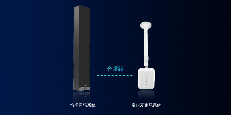 定向麥克風系統可與均衡聲場系統適配