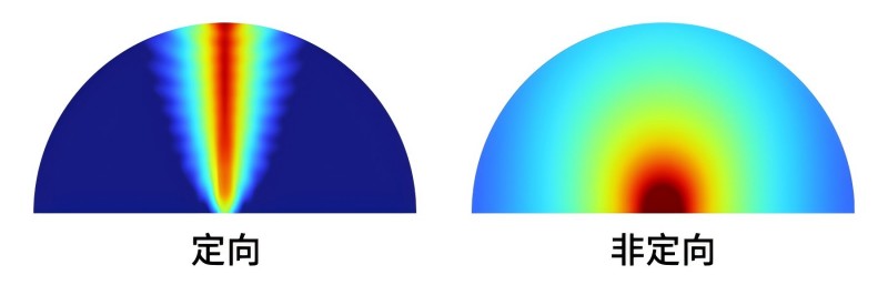定向發聲和非定向發聲